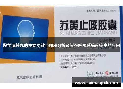 羚羊清肺丸的主要功效与作用分析及其在呼吸系统疾病中的应用