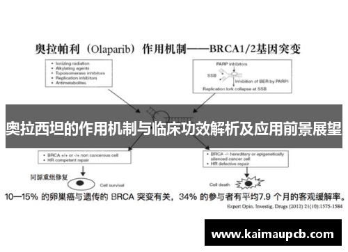 奥拉西坦的作用机制与临床功效解析及应用前景展望