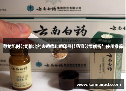 尊龙凯时公司推出的去痘痘和痘印最佳药膏效果解析与使用推荐