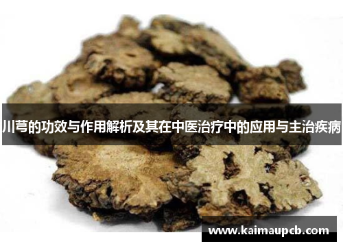 川芎的功效与作用解析及其在中医治疗中的应用与主治疾病
